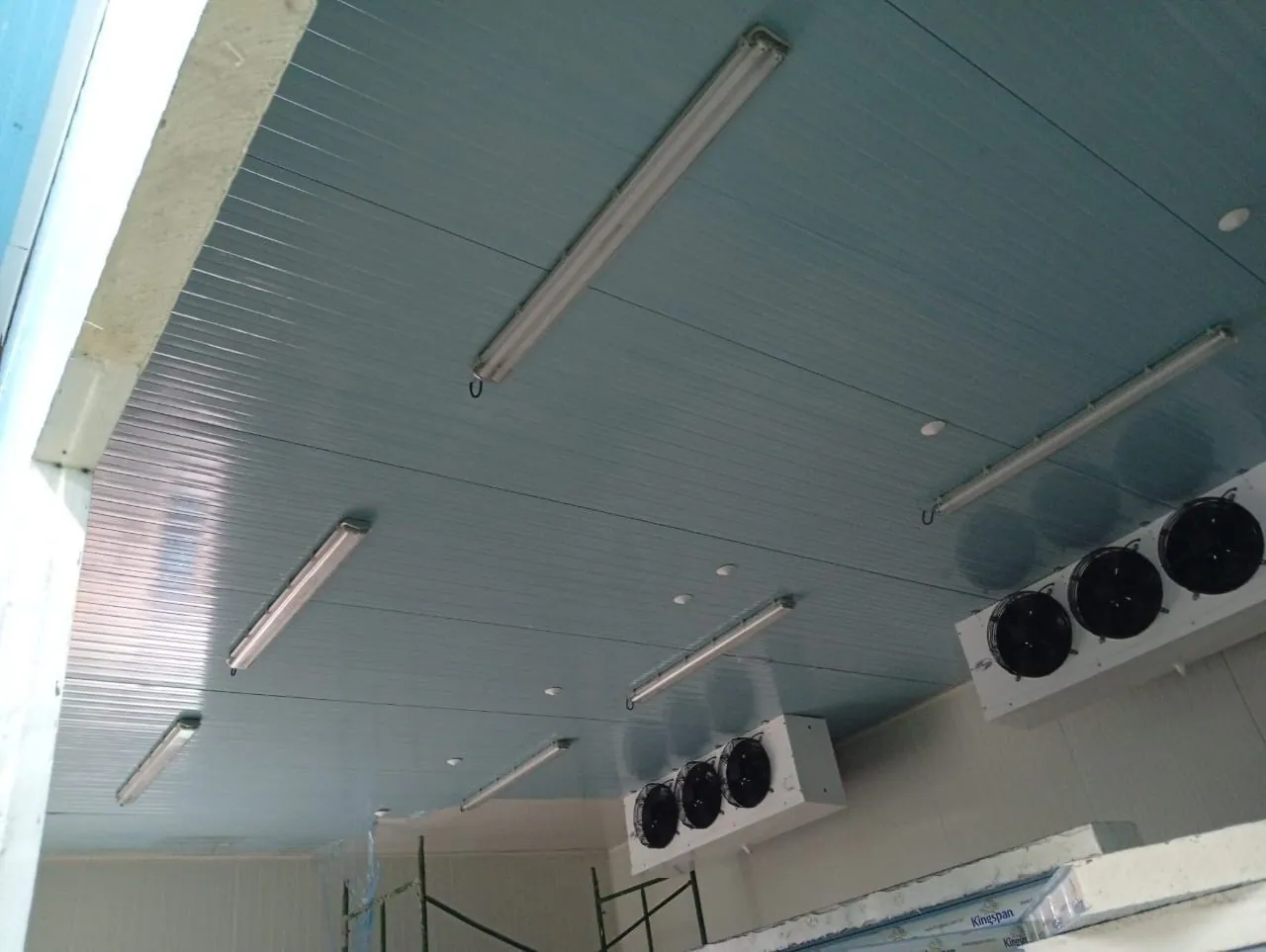 Cuarto frío + Túnel + Muelle de carga en Chigorodo — AgroCool Systems, foto 1