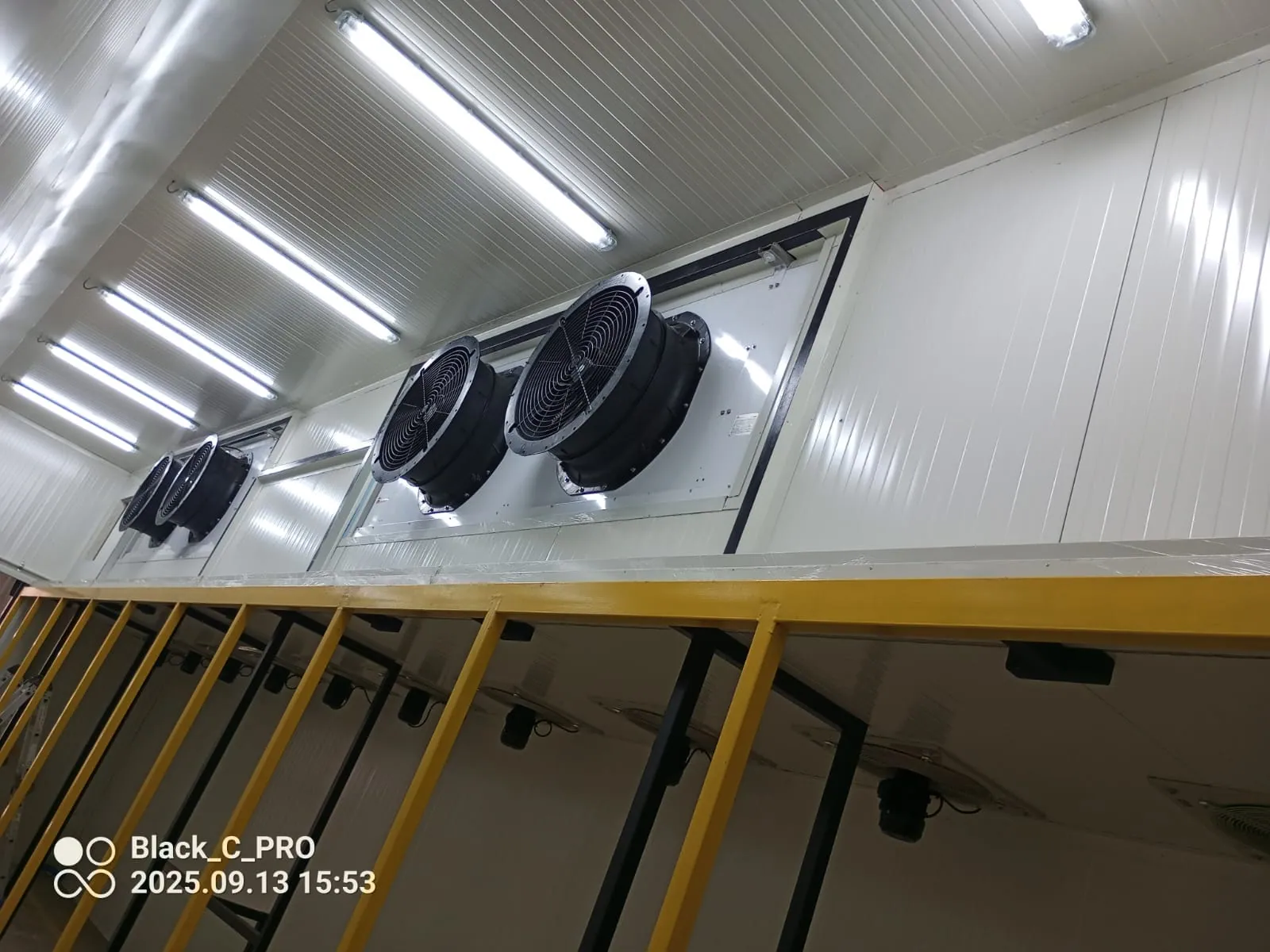 Cuarto frío + Túnel + Muelle de carga en Chigorodo — AgroCool Systems, foto 10