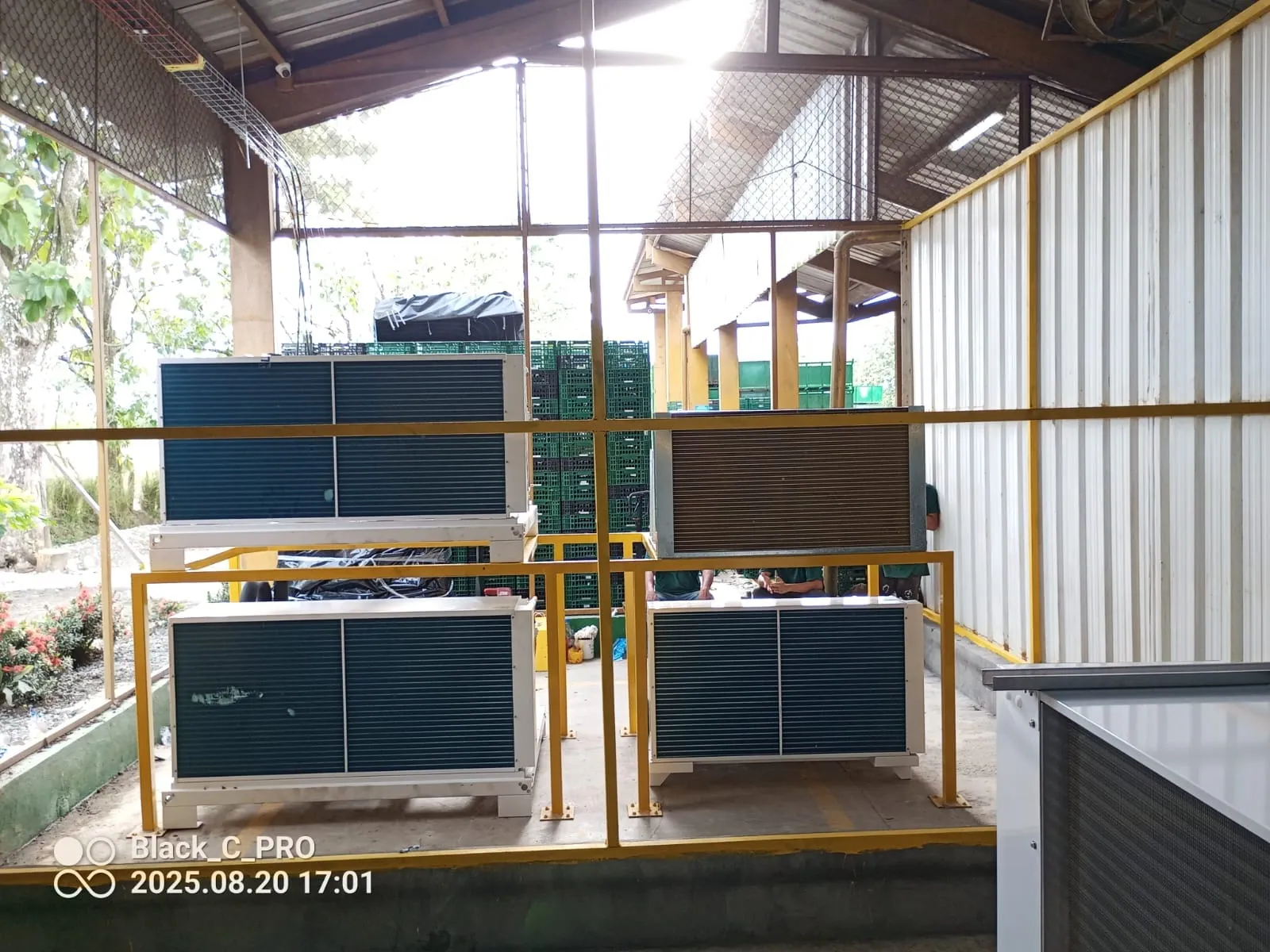 Cuarto frío + Túnel + Muelle de carga en Chigorodo — AgroCool Systems, foto 2