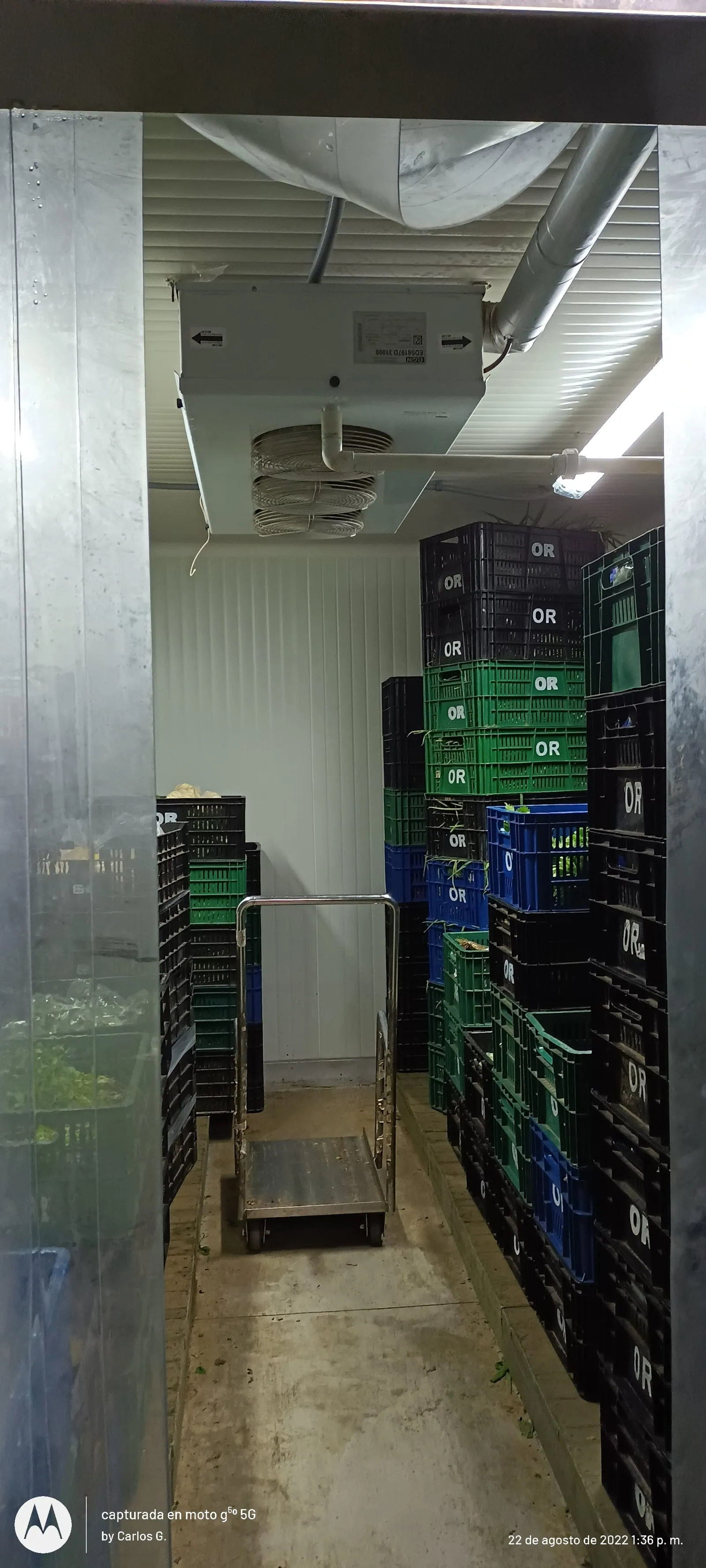 Sistema de refrigeración industrial en Medellín — AgroCool Systems, foto 7