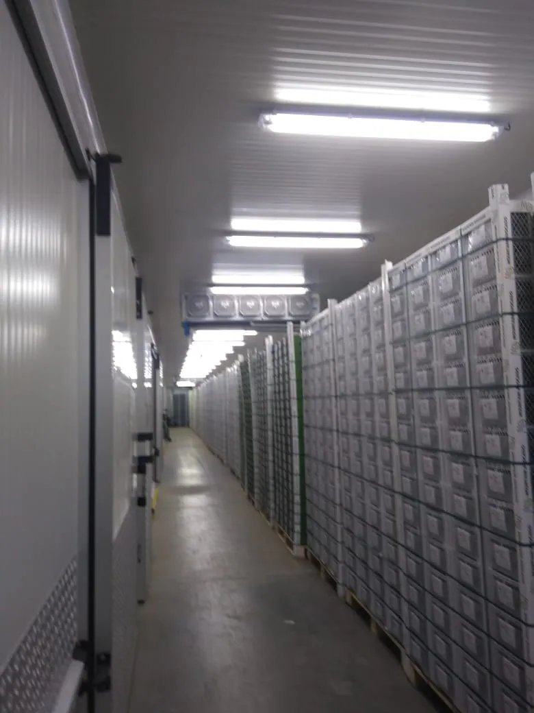Cuarto frío poscosecha en Antioquia — AgroCool Systems, foto 5